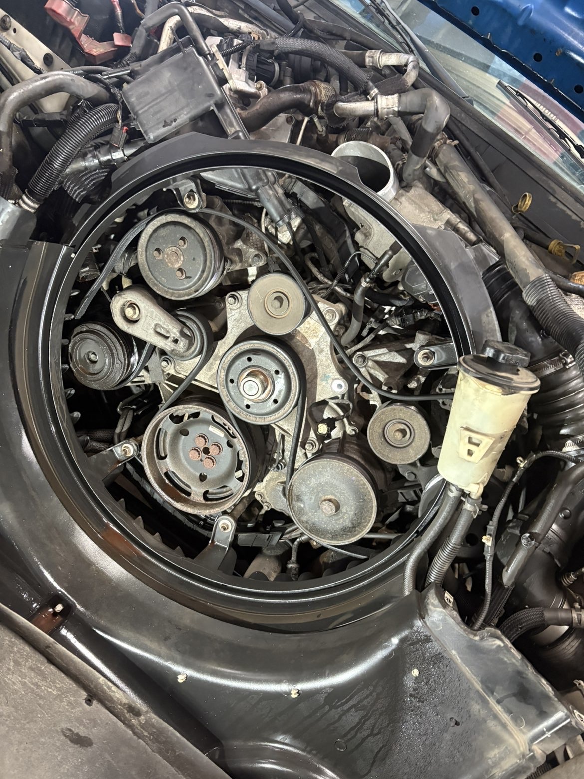 Serpentine Belt